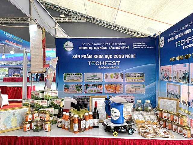 Nhà trường tham gia Ngày hội Khởi nghiệp đổi mới sáng tạo tỉnh Bắc Ninh năm 2025