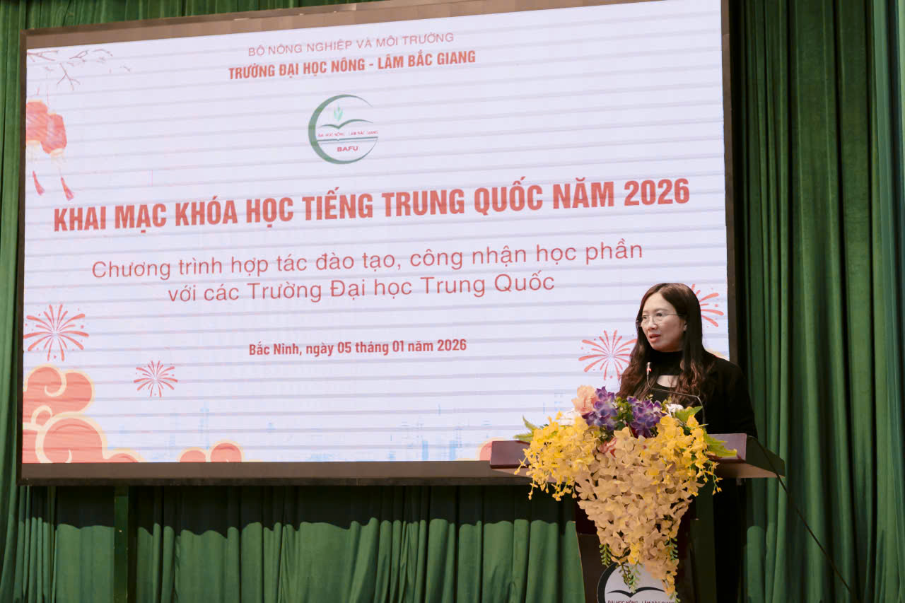 Mở khóa đào tạo tiếng Trung phục vụ hợp tác với các trường đại học Trung Quốc